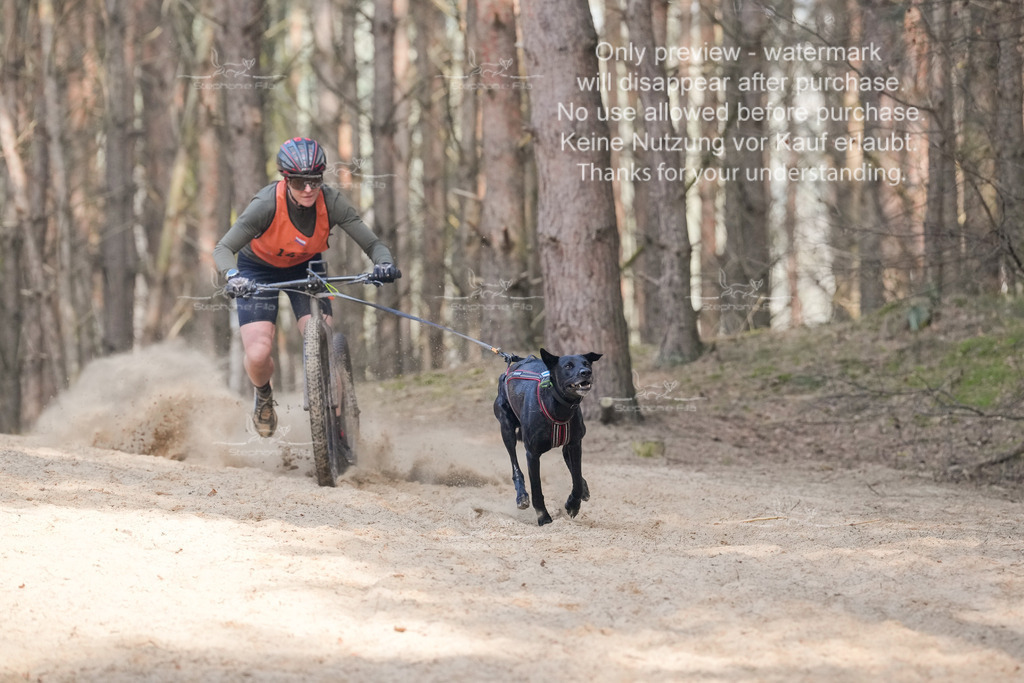 Scooter2-10 | stephaniefillaphotographie - Realisiert mit Pictrs.com