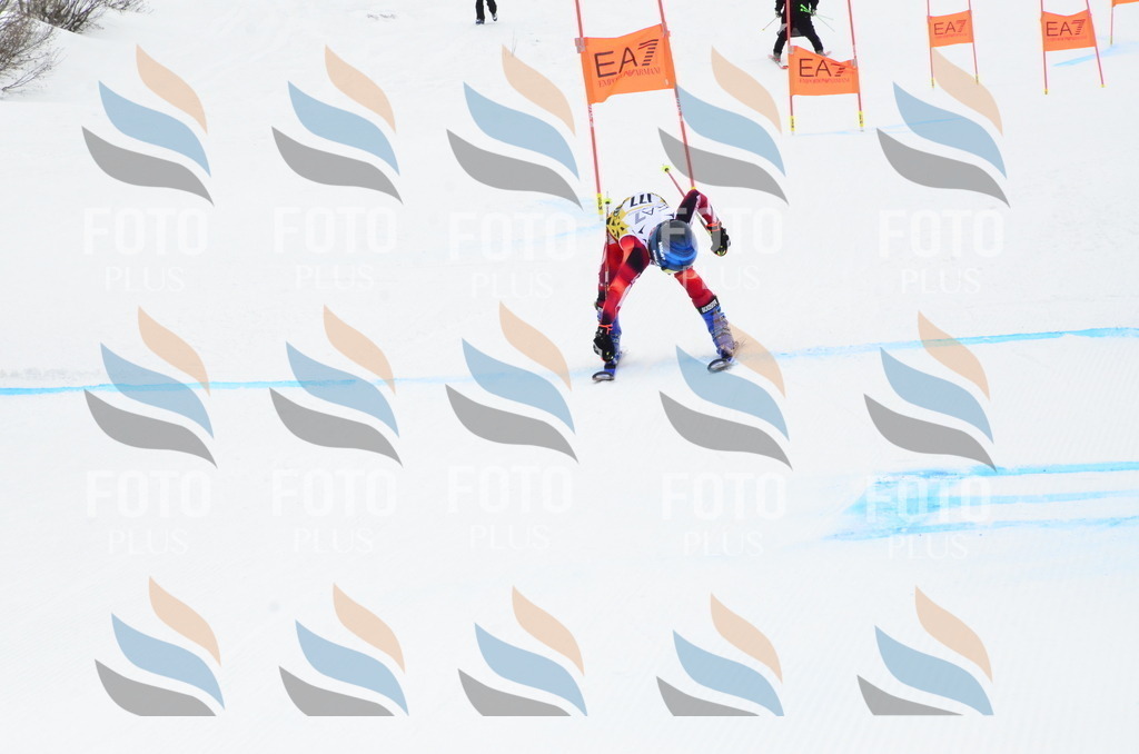 _ELE3937 | holidayphoto