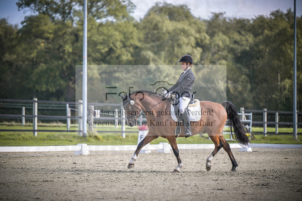 DOS_B743 | Entdecke hochwertige Reitturnierfotos von Foto Oger. Professionell, emotional und authentisch – jetzt Lieblingsmomente im Shop bestellen.Deutschlandweite Turnierfotografie. - Realisiert mit Pictrs.com