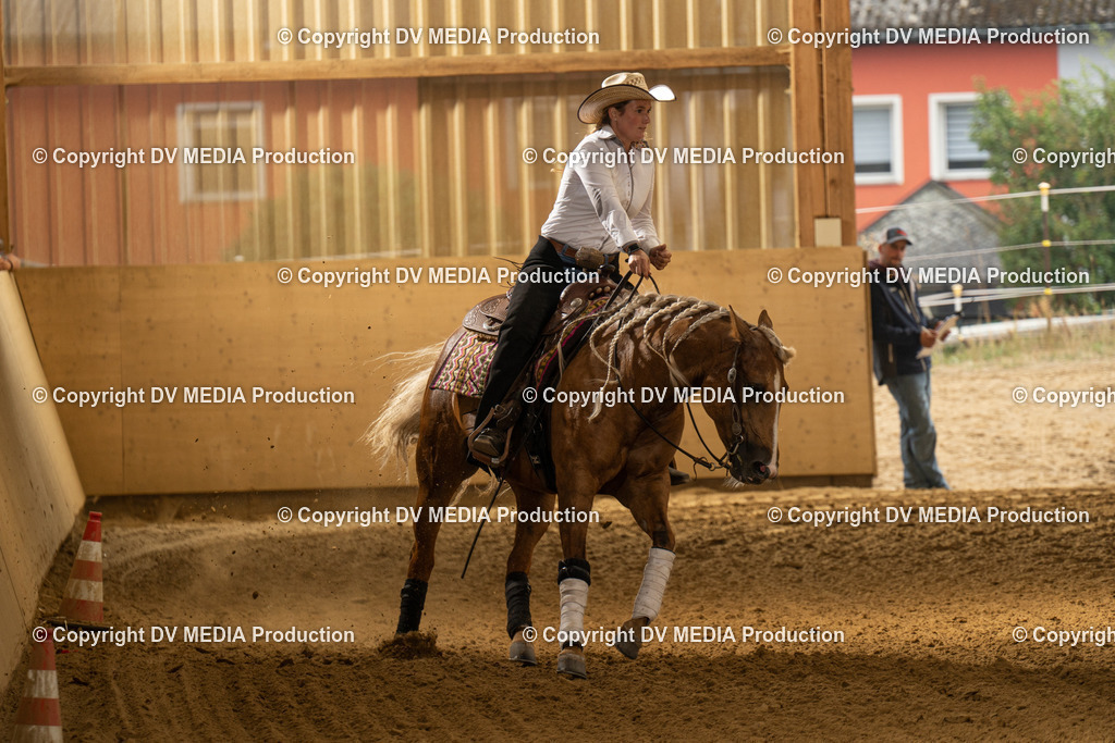 LAU00973 | dv-media-shop - Realisiert mit Pictrs.com