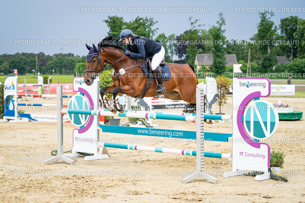 DSC03973 | Pferdegrafie