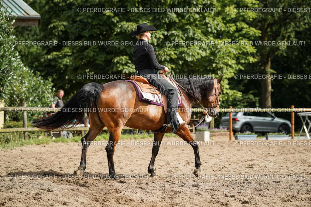 DSC03384 | Pferdegrafie