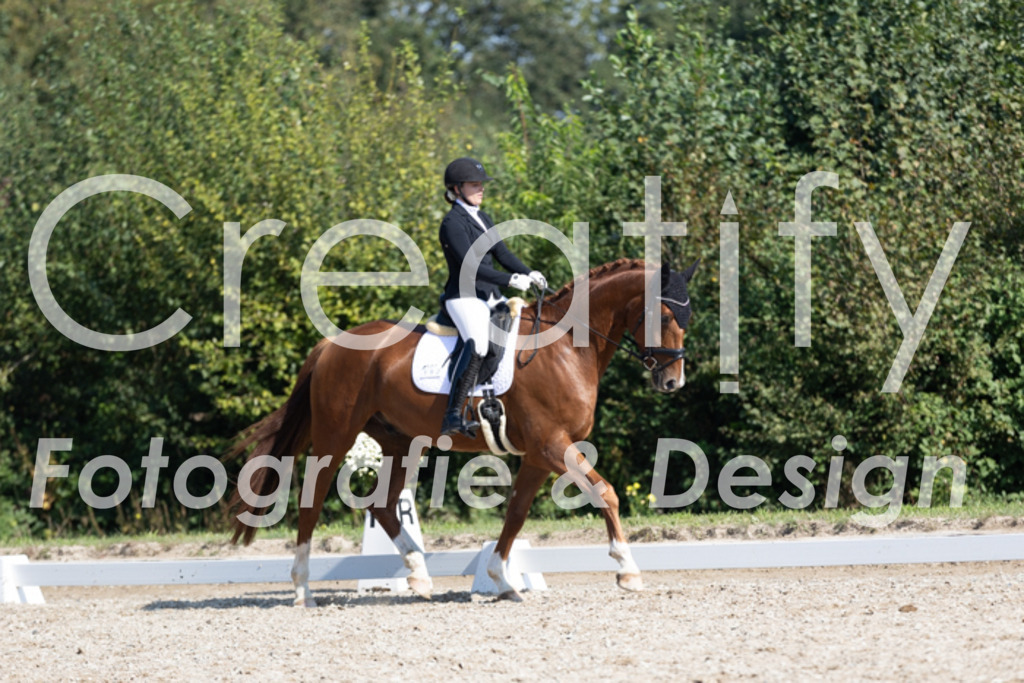 IMG_4720 | Creatify Fotografie