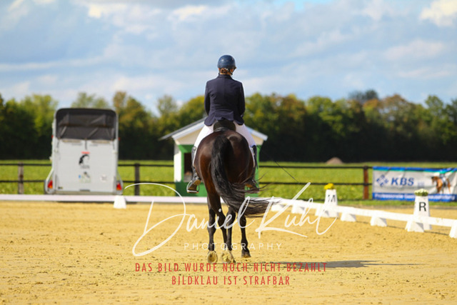 DKP44247 | Turniersportfotografie; Pferdefotografie; Dressurfotografie