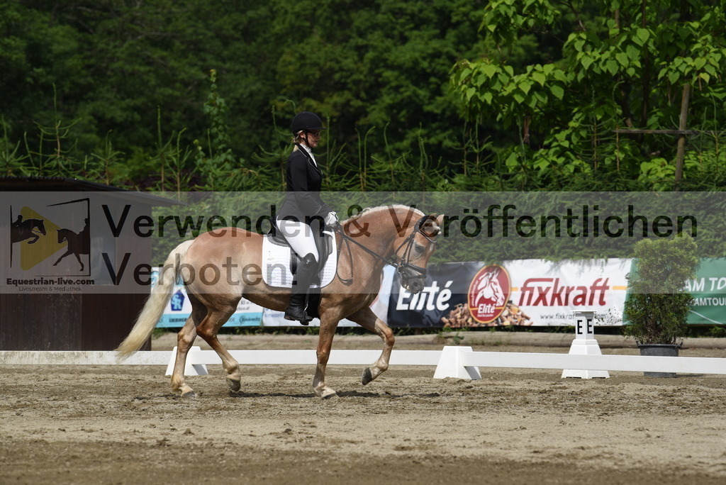 DSC_8514 | equestrian-live-com