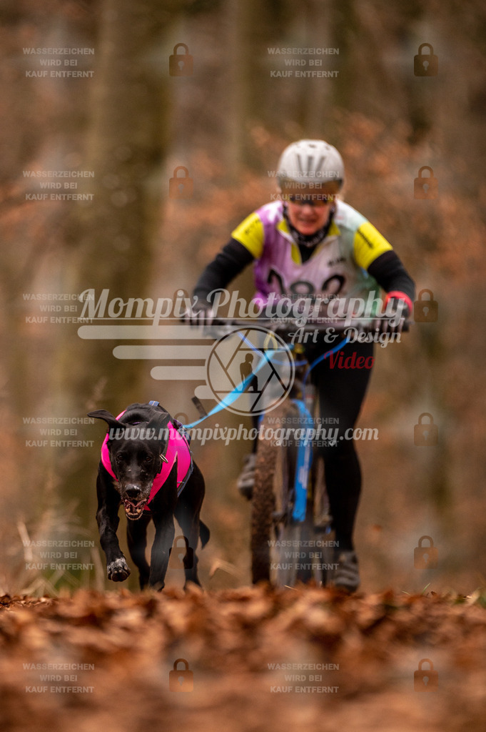 AKM_ST_2023_Son_Bike-78 | PayLife