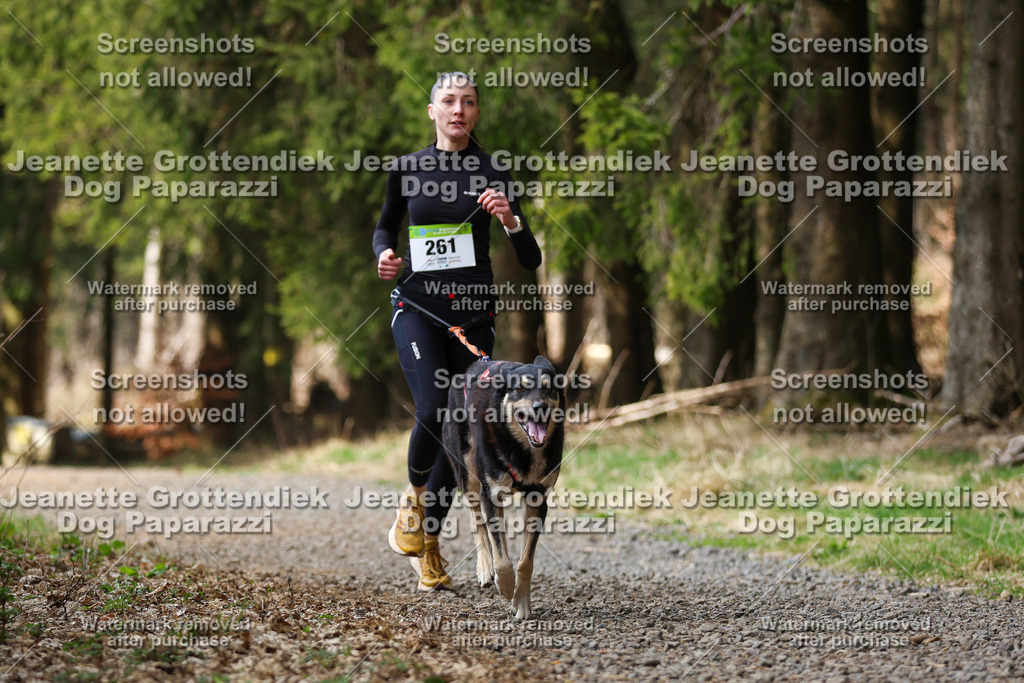 Dog Paparazzi - VCC26-368 | Dog Paparazzi Jeanette Grottendiek Fotografie & Videografie - Realisiert mit Pictrs.com