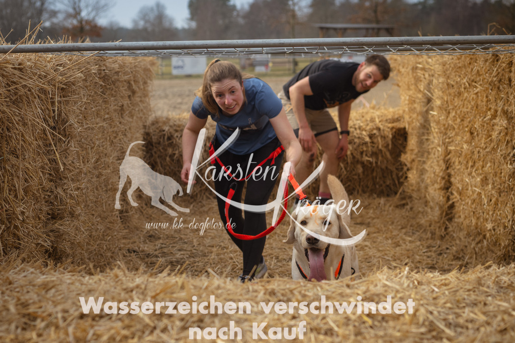 1017_ZZ93642 | kk-dogfotos