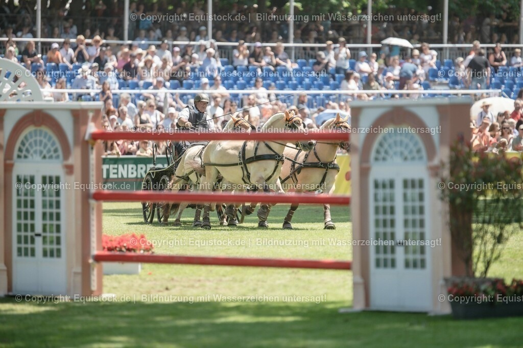 20230528_Jump-and-Drive_0033 | equistock