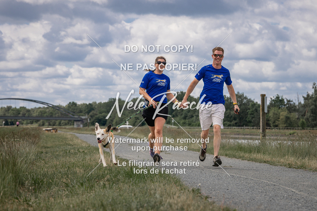 nelerasche_BuHu2026_SaCC1100-1200_104 | nelerasche