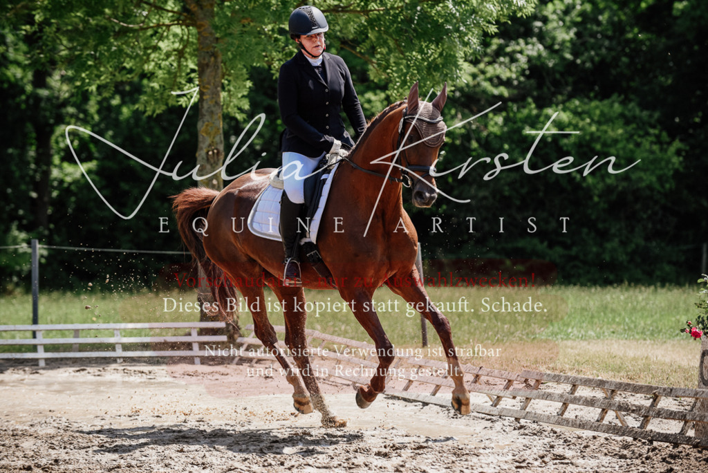 DSC_1342 | Pferde- und Turnierfotografie in Westsachsen. Pferdeportraits, Auftragszeichnungen und intuitive Kunst.