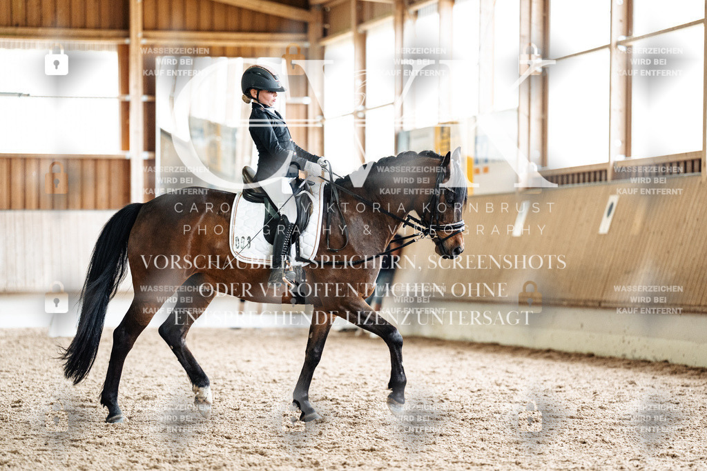 CK901688 | Turnierfotografie Pferdefotografie Trier Rheinland-Pfalz Pferdesport Reitsport Tierfotografie Sportfotografie Pferdevideo Pferdevideografie Equestrianvideography equestrianphotography  - Realisiert mit Pictrs.com