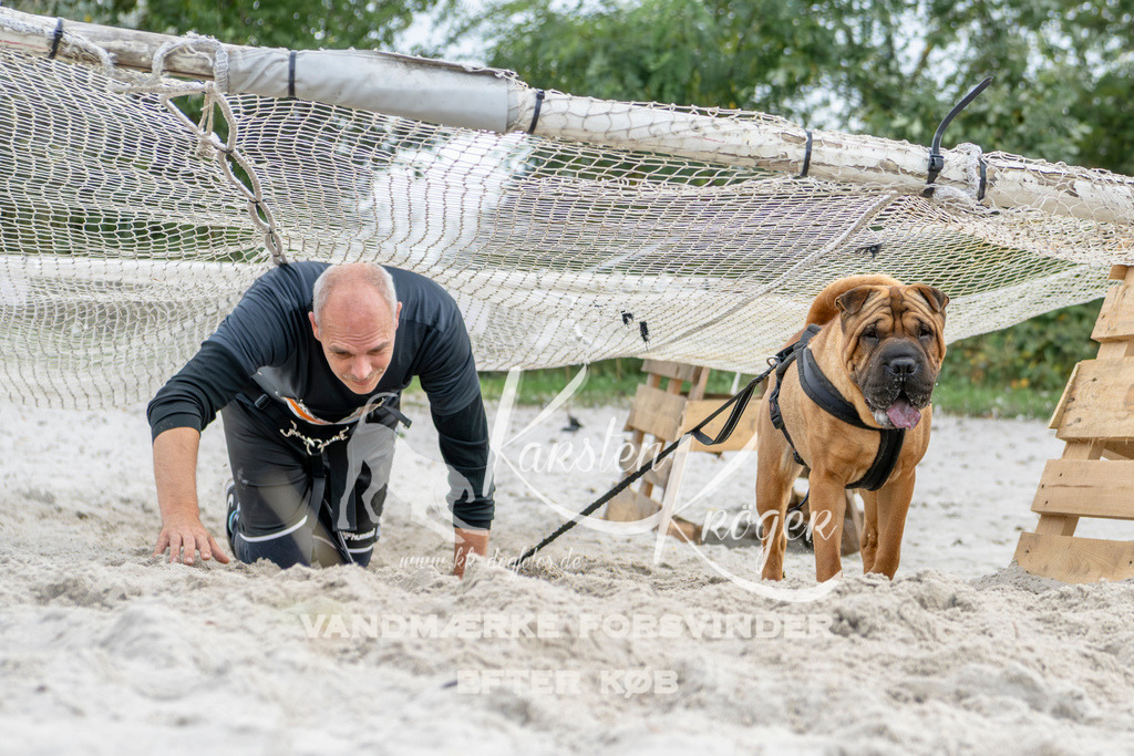 1511_ZZ93464 | kk-dogfotos