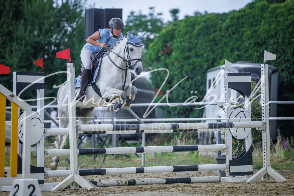 20260705-_3LI4690 | Tierfotografie Pferde, Hunde, Katzen, Haustiere.
Turnierfotografie Reitturniere, Reiten, Springreiten, Dressur in Hanau, dem Main-Kinzig-Kreis und dem Rhein-Main- Gebiet um Frankfurt