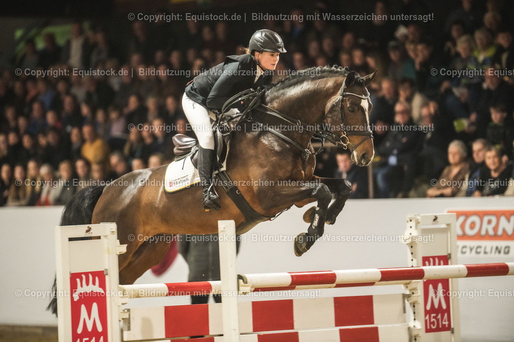 20240302_Hengstvorstellung_Marbach_TOMsPiC_1387 | equistock