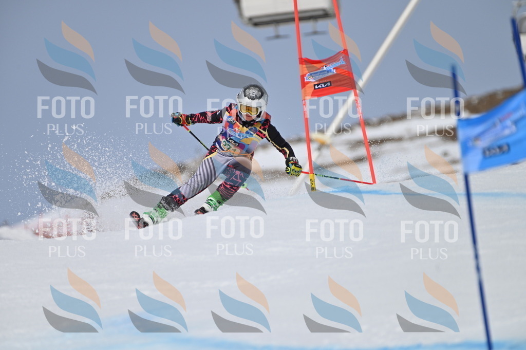 BGV_5355 | holidayphoto