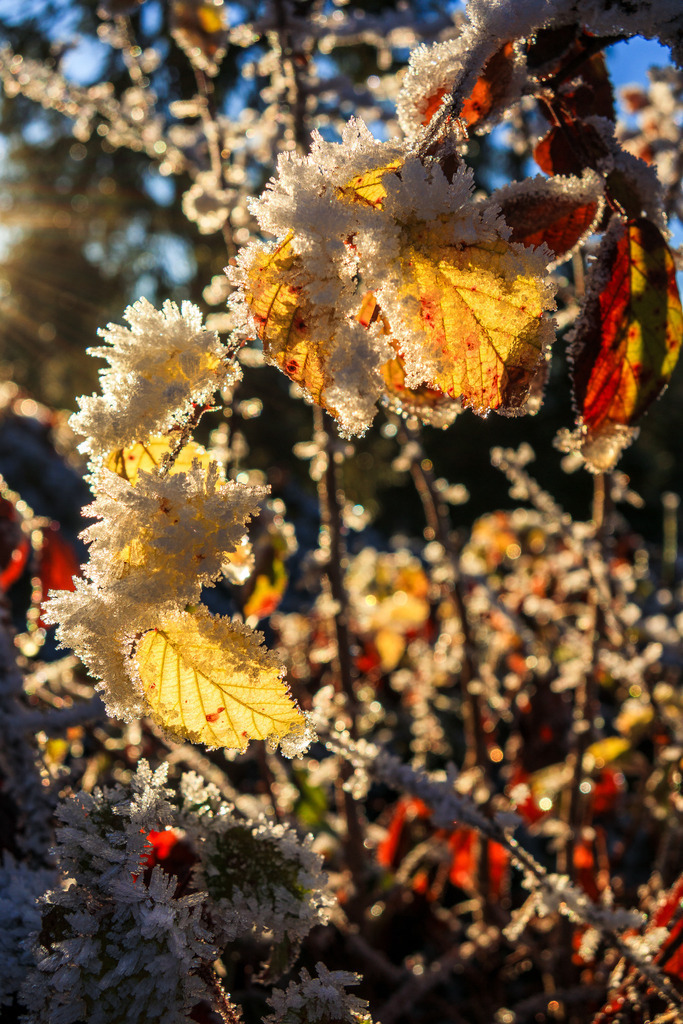 IMG_3684 | ap-design // andreas plenk - Realisiert mit Pictrs.com