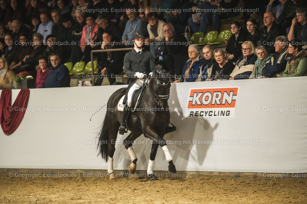 20240302_Hengstvorstellung_Marbach_TOMsPiC_1509 | equistock