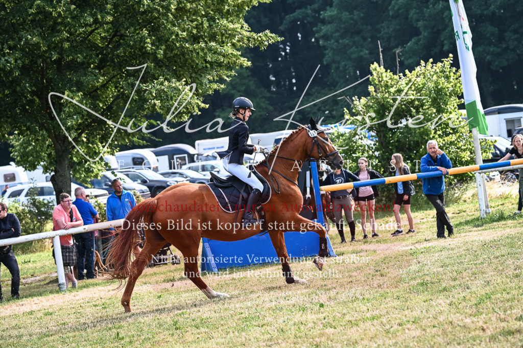 DSC_7953 | Pferde- und Turnierfotografie in Westsachsen. Pferdeportraits, Auftragszeichnungen und intuitive Kunst.
