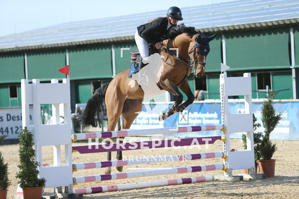 DL2Q4057 | Willkommen bei Brunnmayr - Design & Fotografie – Ihrem Spezialisten für Reitturniere und Pferdeveranstaltungen in Oberösterreich, Salzburg und Bayern! Seit über 17 Jahren sind wir leidenschaftlich dabei.
