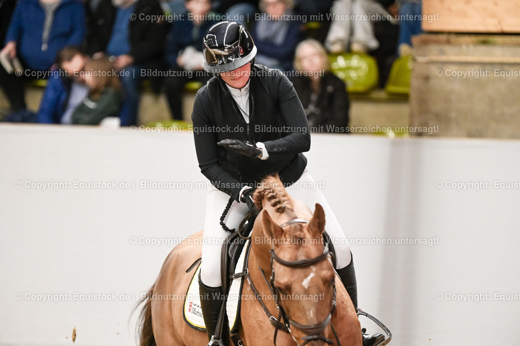 20260307_Hengstvorstellung-Marbach_0154 | equistock