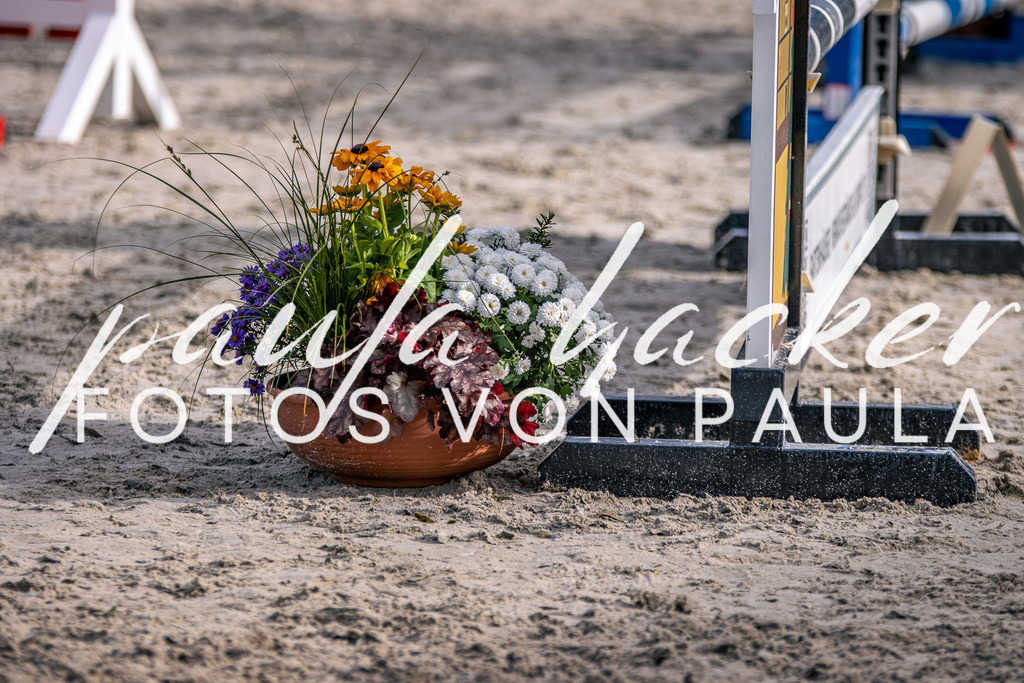 IMG_5865 | Erleben Sie dynamische Sport- und emotionale Tierfotografie in Süddeutschland mit Fotos von Paula. Spezialisiert auf Pferde- und Hundefotografie sowie Sportevents. Kontaktieren Sie mich für einzigartige und ausdrucksstarke Bilder Ihrer besonderen Momente. - Realisiert mit Pictrs.com