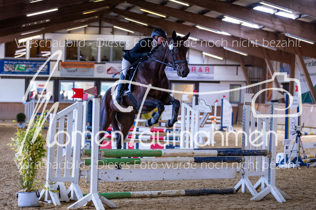 Sth-Gewöhnung-028 | MomenTaufnahmen Pferdesportfotos