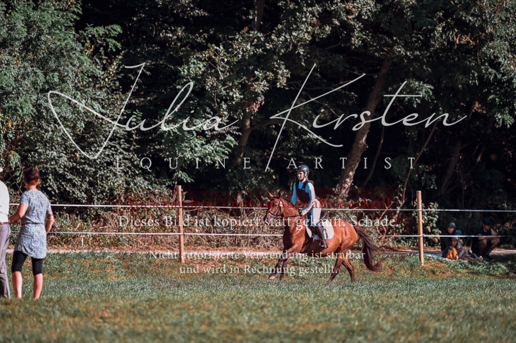 DSC_0685 | Pferde- und Turnierfotografie in Westsachsen. Pferdeportraits, Auftragszeichnungen und intuitive Kunst.