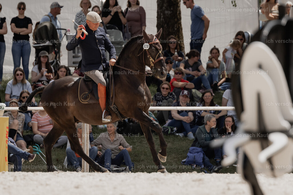 WE_ST_Stoib_320_PI2025_1103 | Pferd International München 2025