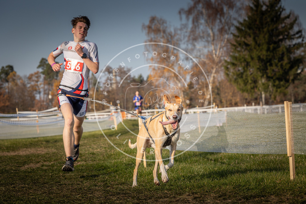 CaniXpix_0L8A9540 | Hundefotografie, Tierfotograf, Pfotenfotografie, Fotoshooting Hund, Hunde Portrait, Hundesport, Hundeportraits, Heideshooting, Hunde, Sportfotograf, Hundefotograf, Turnierhundsport, THS,  - Realisiert mit Pictrs.com