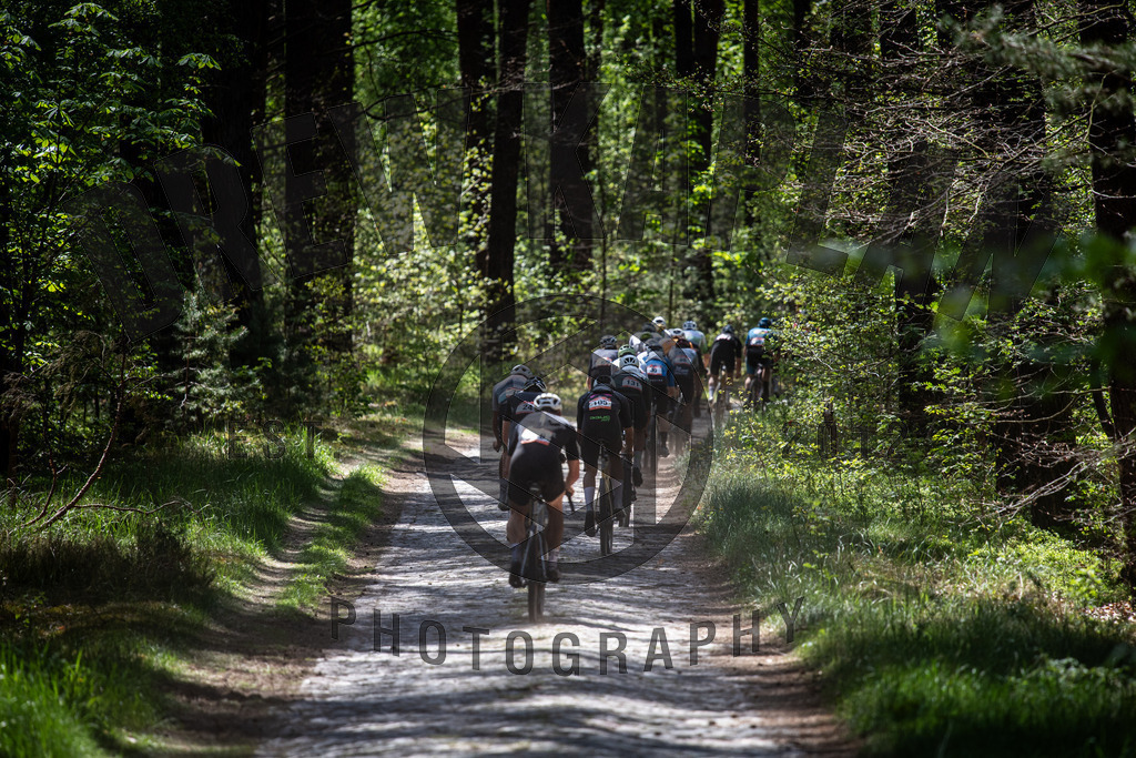 DKP-2224 | Drew Kaplan Photography