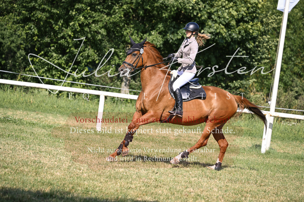 DSC_1301 | Pferde- und Turnierfotografie in Westsachsen. Pferdeportraits, Auftragszeichnungen und intuitive Kunst.