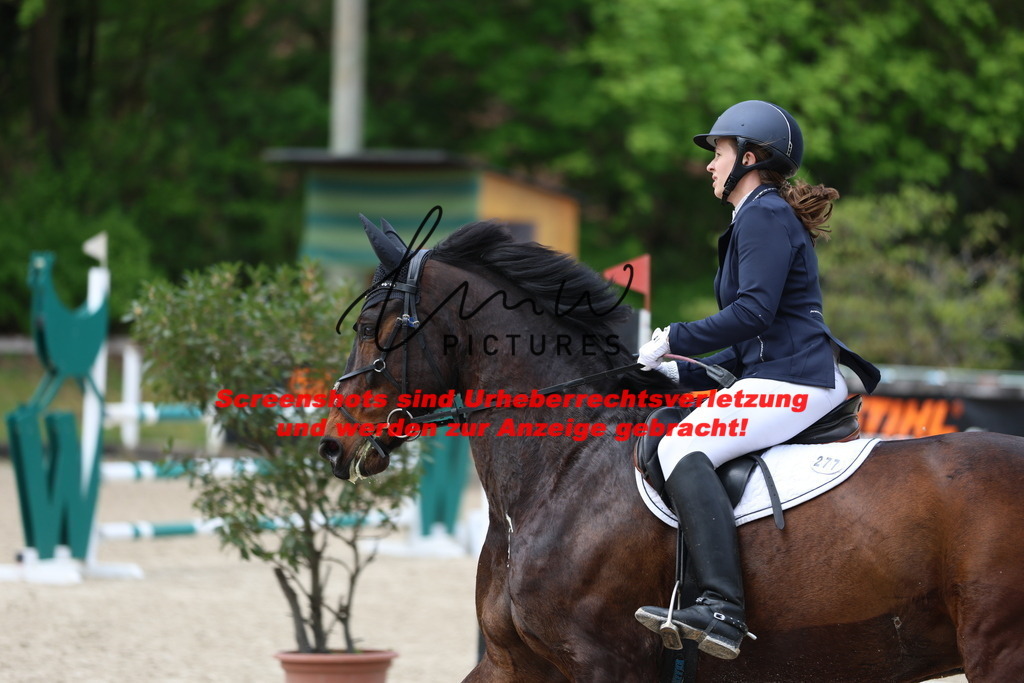 A40A1999 | lmwpictures - Realisiert mit Pictrs.com