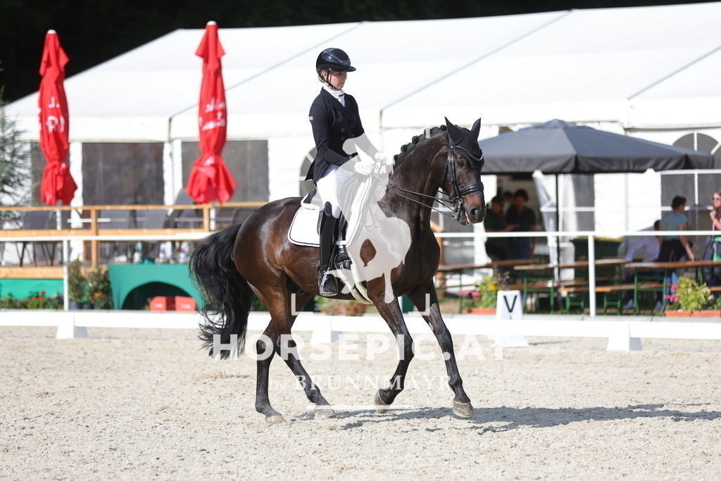 0P6A6801 | Willkommen bei Brunnmayr - Design & Fotografie – Ihrem Spezialisten für Reitturniere und Pferdeveranstaltungen in Oberösterreich, Salzburg und Bayern! Seit über 17 Jahren sind wir leidenschaftlich dabei.