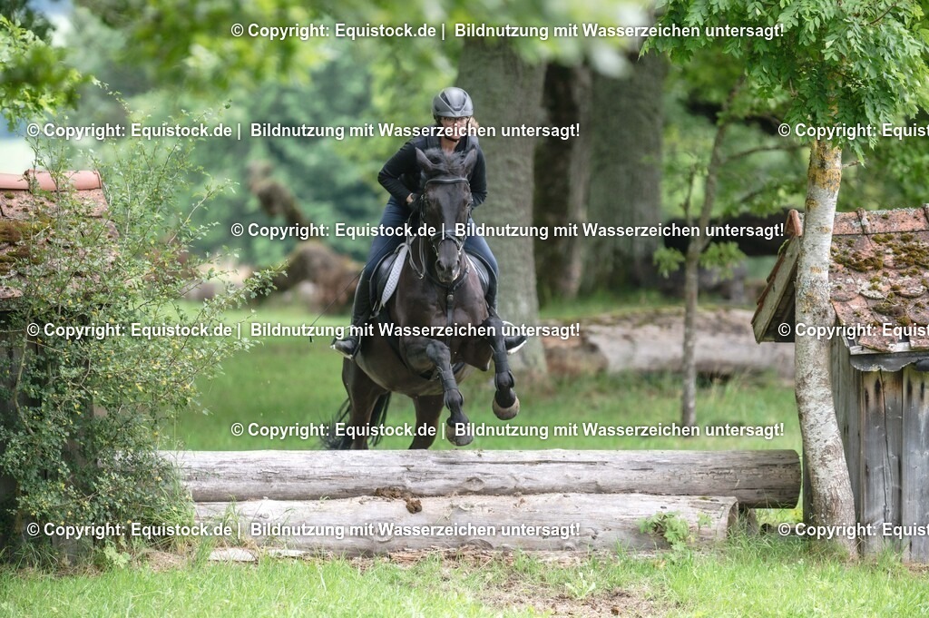 20250726_Vielseitigkeitslehrgang-Marbach_0744 | Foto: Thomas Hartig