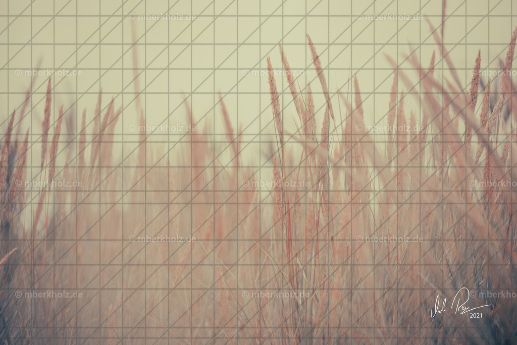 marko_berkholz_mberkholz__MBE4349_us | Bildkunst Warnemünde, Fotokunst Warnemünde, Fotostudio Rostock Warnemünde, Technologiecampus, Onlinedruckerei, Fotokunst Warnemünde, Ostseebad Warnemünde 