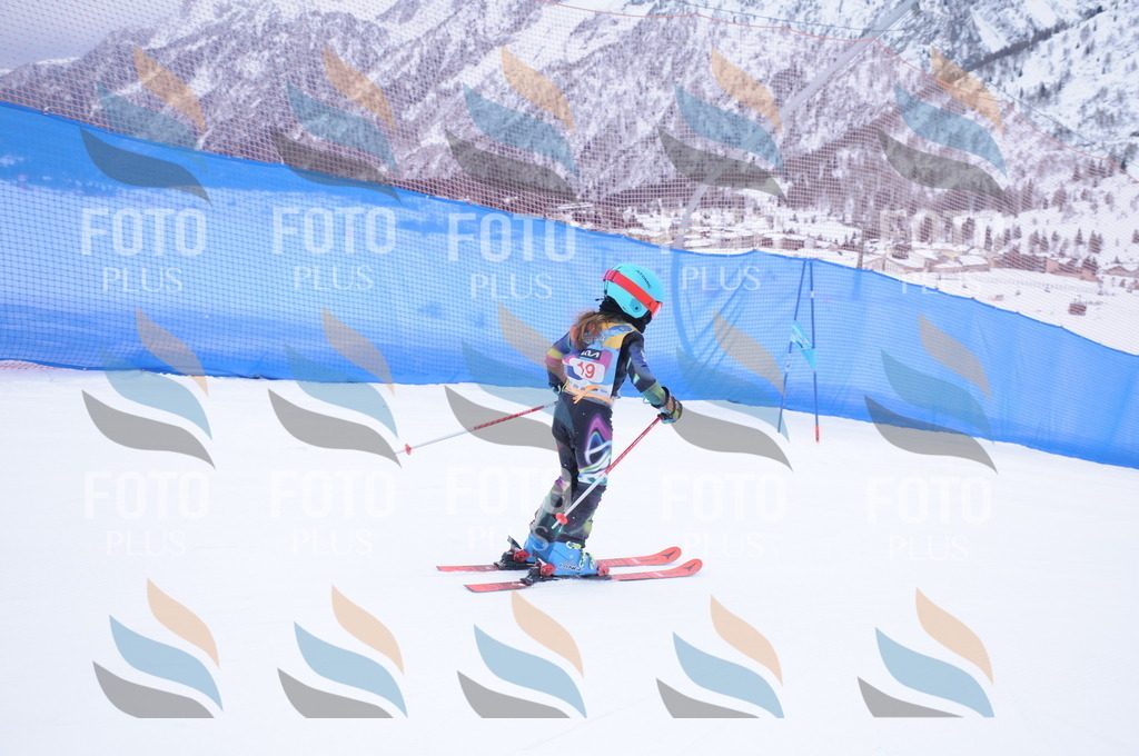 DSC_7695 | holidayphoto