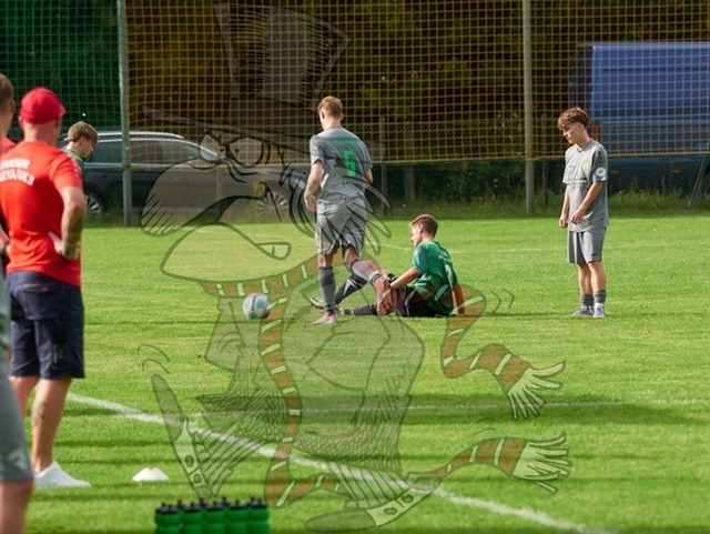 SpG Freya Marienwerder-Union Klosterfelde III vs. SpG Biesenthal-Grüntal II 273 | mythos-online-redaktion