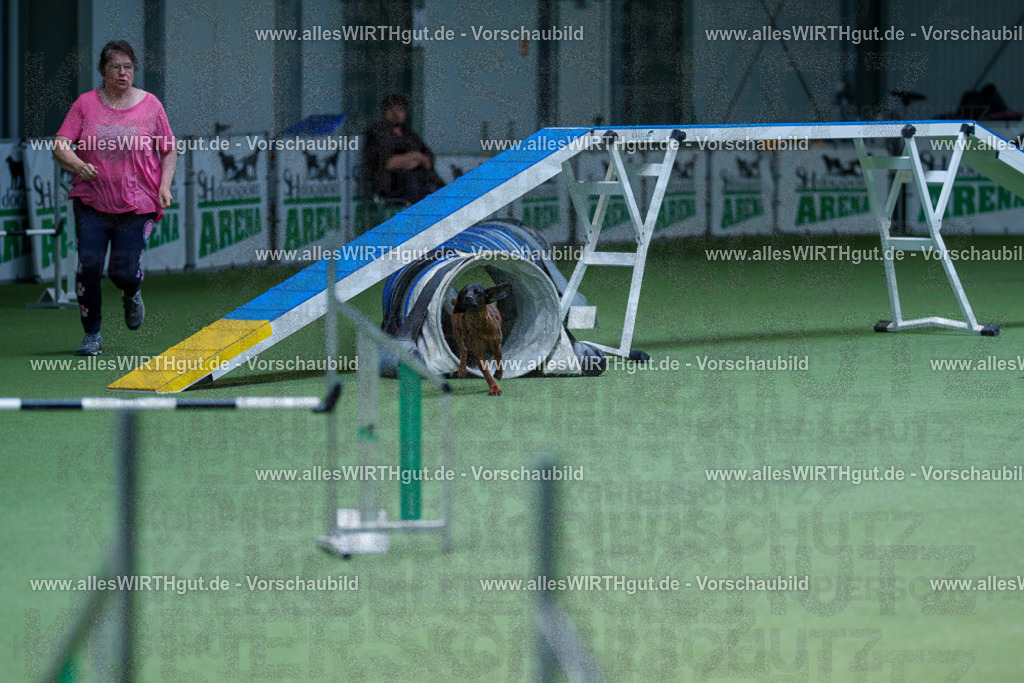 @allesWIRTHgut_Tierfotografie - www.allesWIRTHgut.de - 2604251235-7R502161 | Professionelle Tierfotografie in Mönchengladbach von Daniel Wirth (allesWIRTHgut). Liebevolle & natürliche Bilder von Hunden & Katzen für unvergessliche Erinnerungen.
