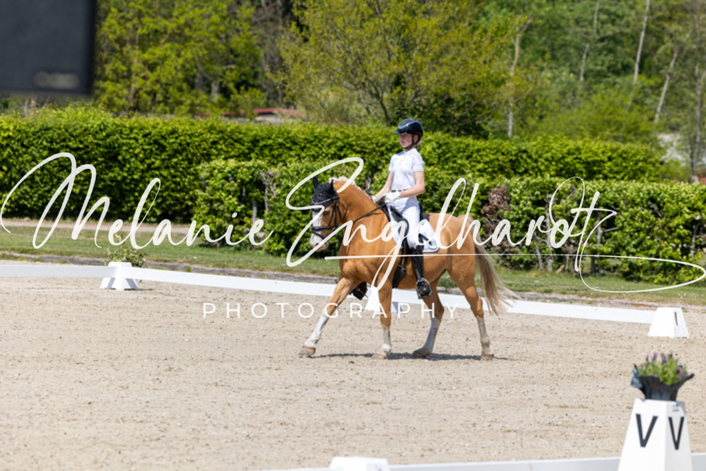 7I8A9996 | melanie-engelhardt-photography - Realisiert mit Pictrs.com