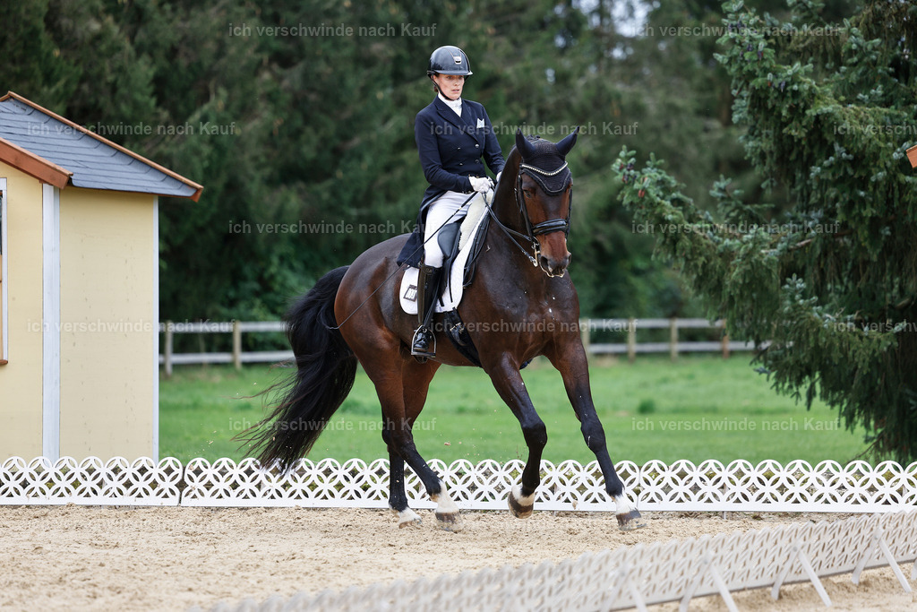 6-113-AMATUER-DRESSUR S_  -StoibPH-3620 | working equitationturnier fotograf videograf stoibphotography marixx film working equitation deutschland reitsport turnierfotografie eventfotografie equestrian events
