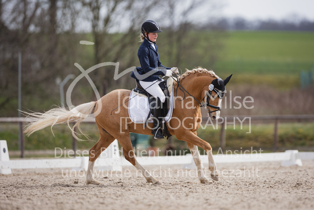 230410_Frühlingsfest_A-Dressur-544 | Deine schönsten Turniermomente als professionelle Fotos! Entdecke hochwertige Pferdesport-Fotografie im Online-Shop. Jetzt Fotos finden & bestellen!