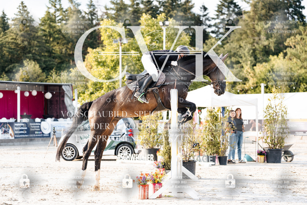 CK903462 | Turnierfotografie Pferdefotografie Trier Rheinland-Pfalz Pferdesport Reitsport Tierfotografie Sportfotografie Pferdevideo Pferdevideografie Equestrianvideography equestrianphotography  - Realisiert mit Pictrs.com
