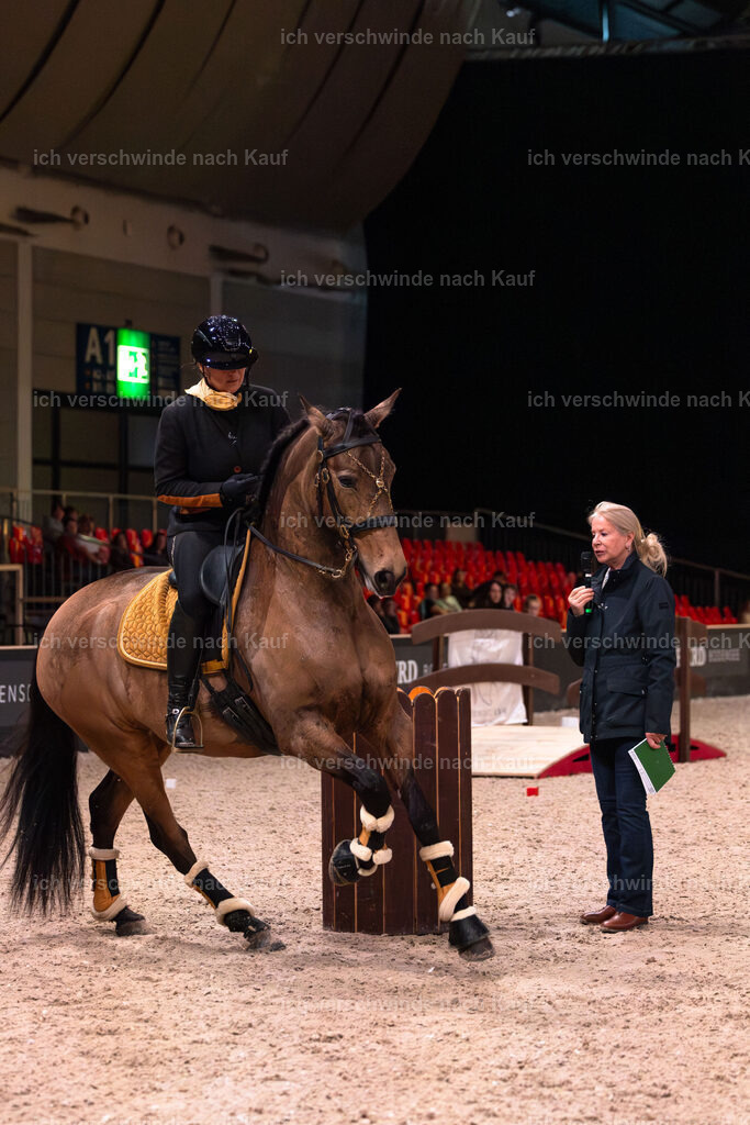 JoseraCup-53 | working equitationturnier fotograf videograf stoibphotography marixx film working equitation deutschland reitsport turnierfotografie eventfotografie equestrian events