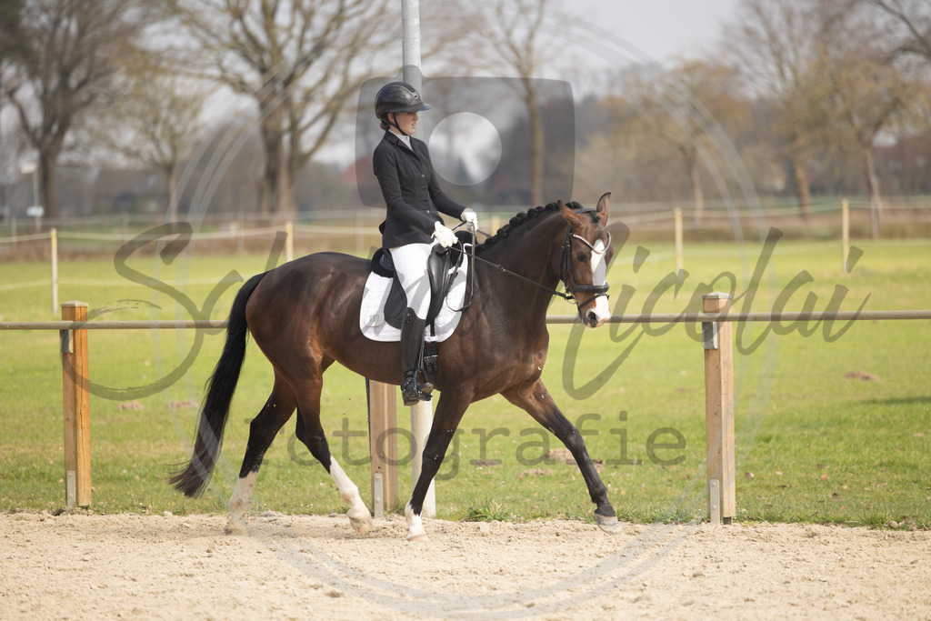 994A8730 | sabrinanicolaifotografie - Realisiert mit Pictrs.com