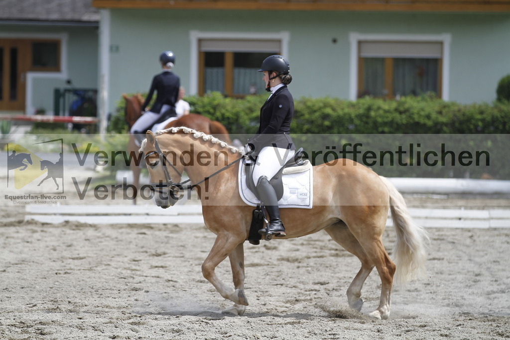 _MG_8765 | equestrian-live-com