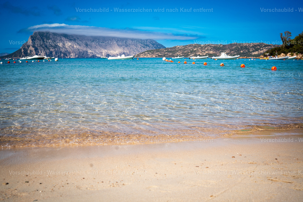 DSC09727 | marcuslinek