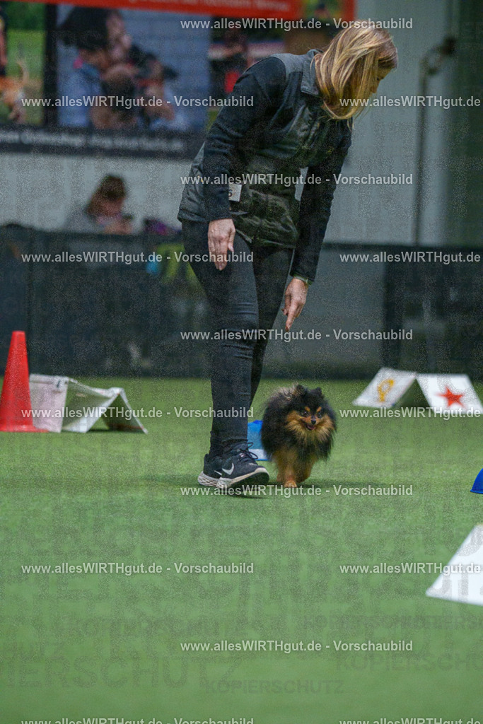 7R503464 | Professionelle Tierfotografie in Mönchengladbach von Daniel Wirth (allesWIRTHgut). Liebevolle & natürliche Bilder von Hunden & Katzen für unvergessliche Erinnerungen.