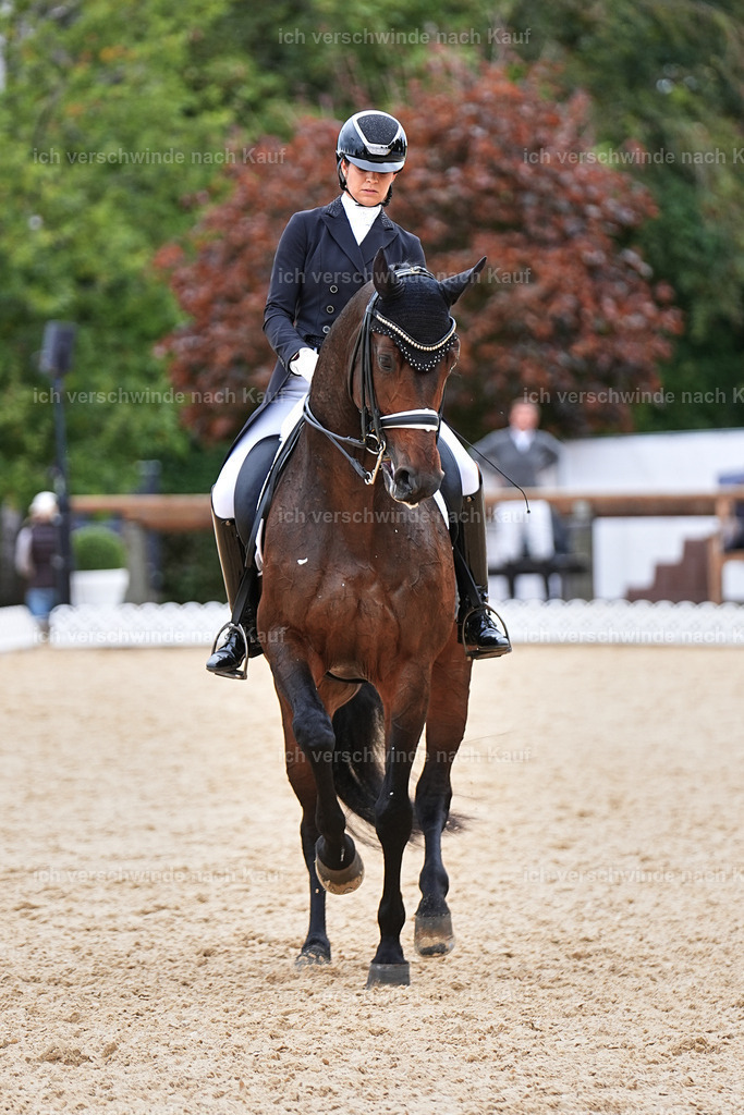 11-110-Dressur S___-Marixx-1540 | working equitationturnier fotograf videograf stoibphotography marixx film working equitation deutschland reitsport turnierfotografie eventfotografie equestrian events