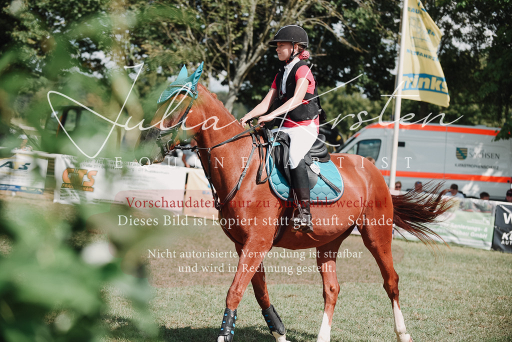 DSC_5750 | Pferde- und Turnierfotografie in Westsachsen. Pferdeportraits, Auftragszeichnungen und intuitive Kunst.